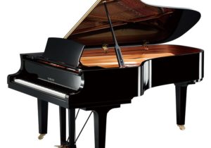 新品グランドピアノ YAMAHA C7X ヤマハ | 株式会社エルフラット